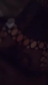 在丽江无套后入黑丝女健身教练